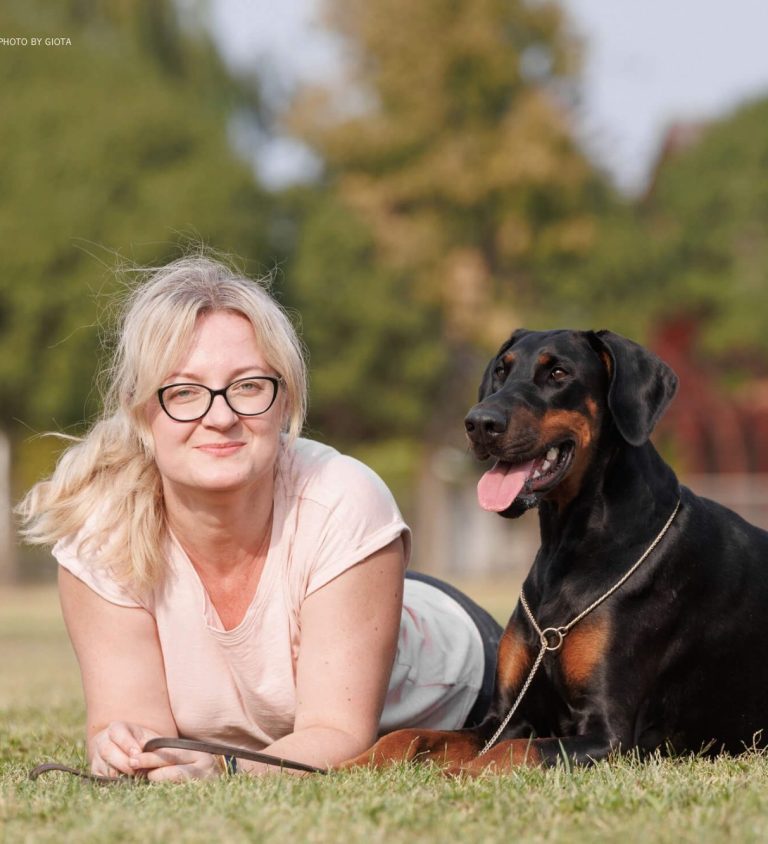 Canine fertility vet Leicester Veterinary surgeon offering canine reproductive services in Leicester